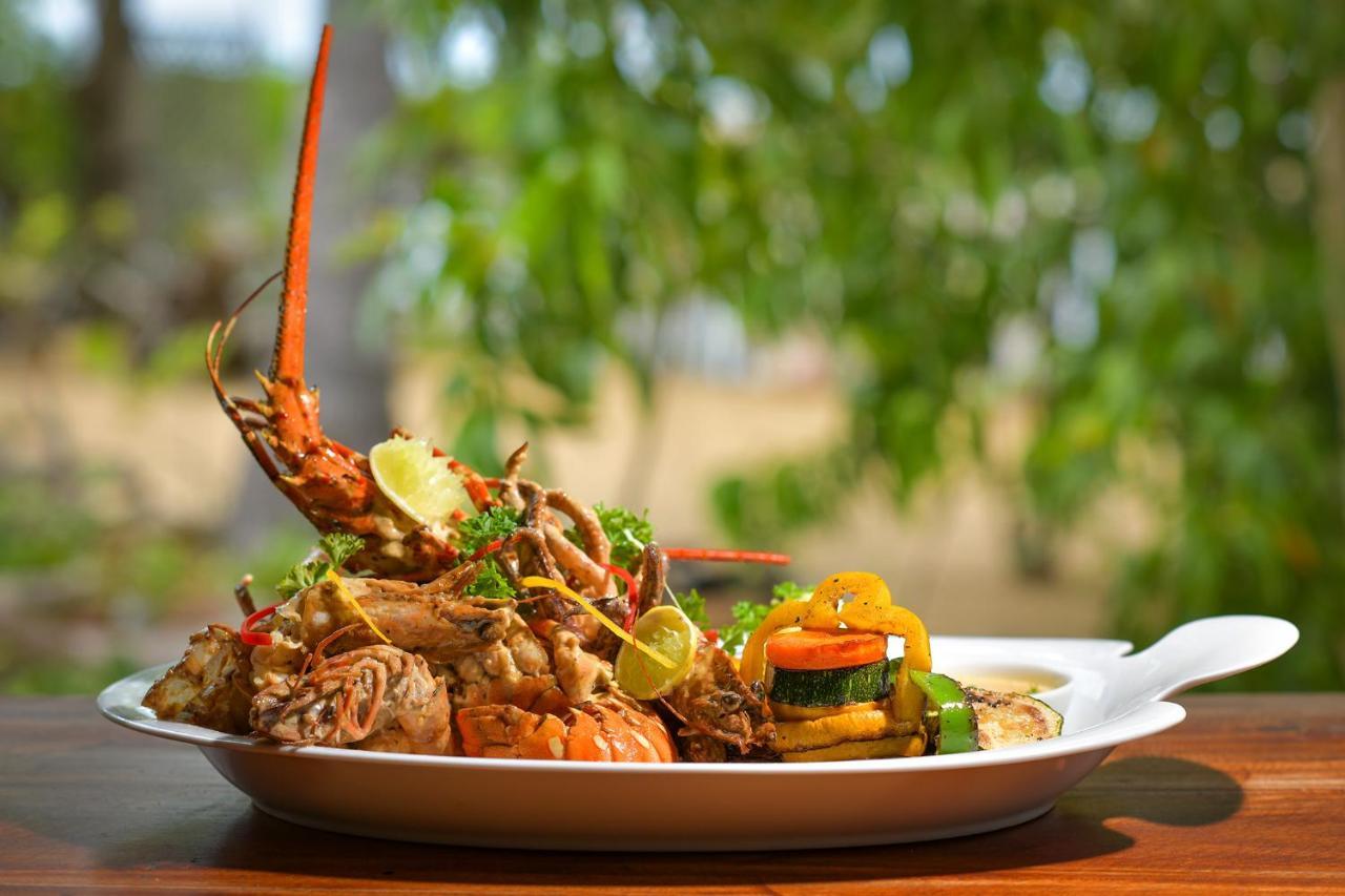 Kitesurfing Lanka Hotel Kalpitiya Ngoại thất bức ảnh