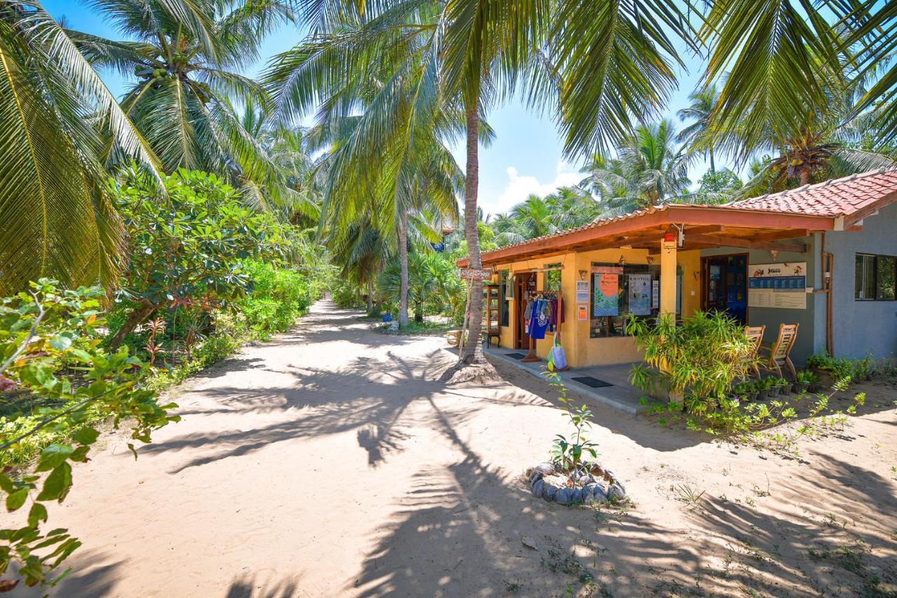 Kitesurfing Lanka Hotel Kalpitiya Ngoại thất bức ảnh
